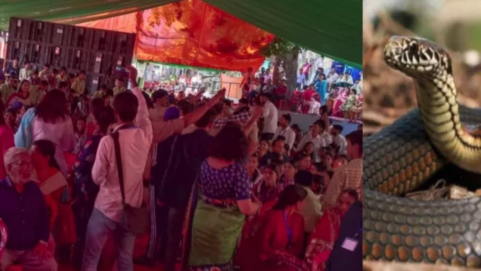 चंबा में जयराम ठाकुर की जनसभा में सांप निकल आया।