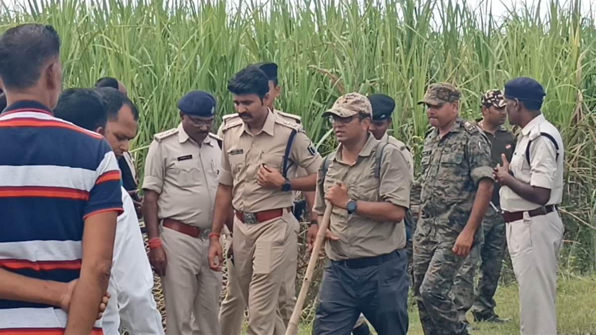 celebrations in west champaran of bihar after the tiger encounters
