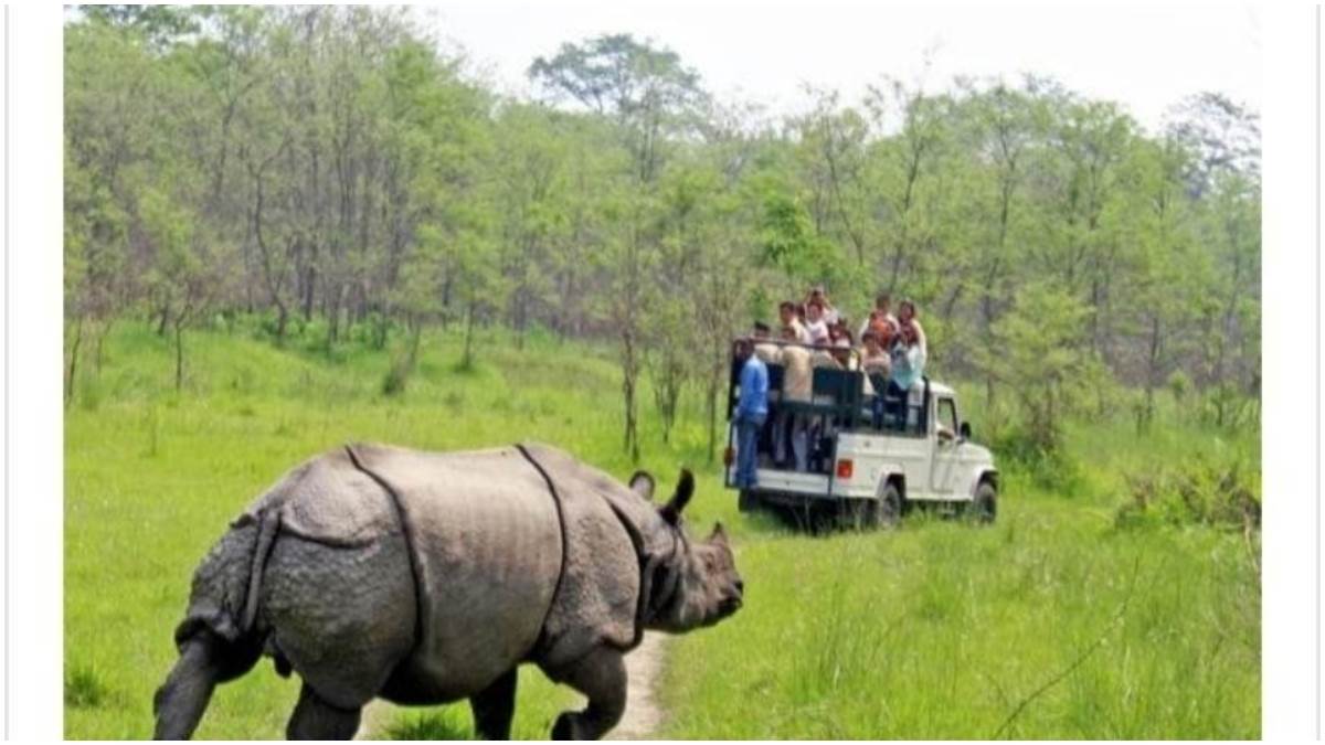 chitwan national park jungle safari open for tourists hotel business getting relief