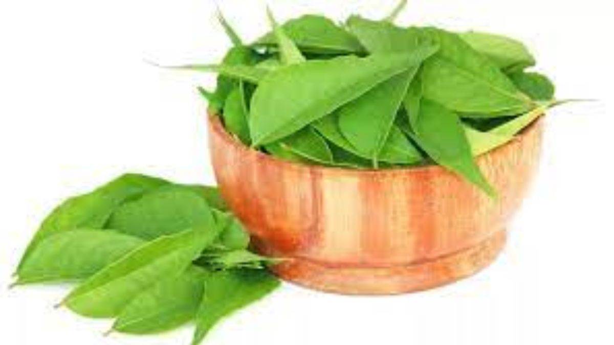 health benefits of eating curry leaves in the morning