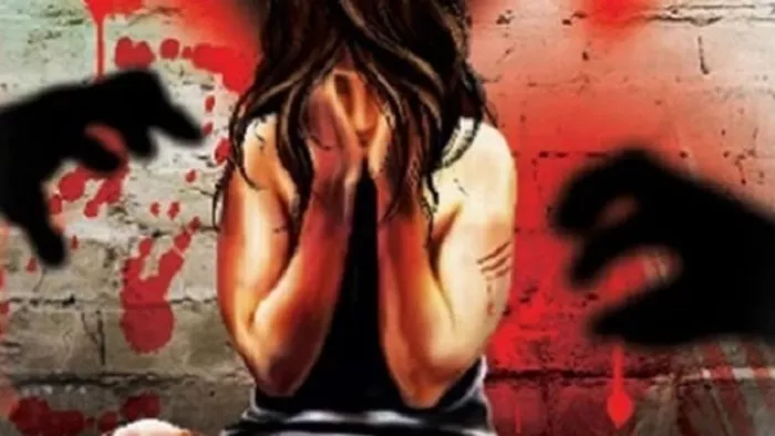 सरकार महिला अपराध पर अंकुश लगाने के लिए सीसीटीवी वाले खंभों पर पैनिक बटन लगाने पर विचार कर रही है।