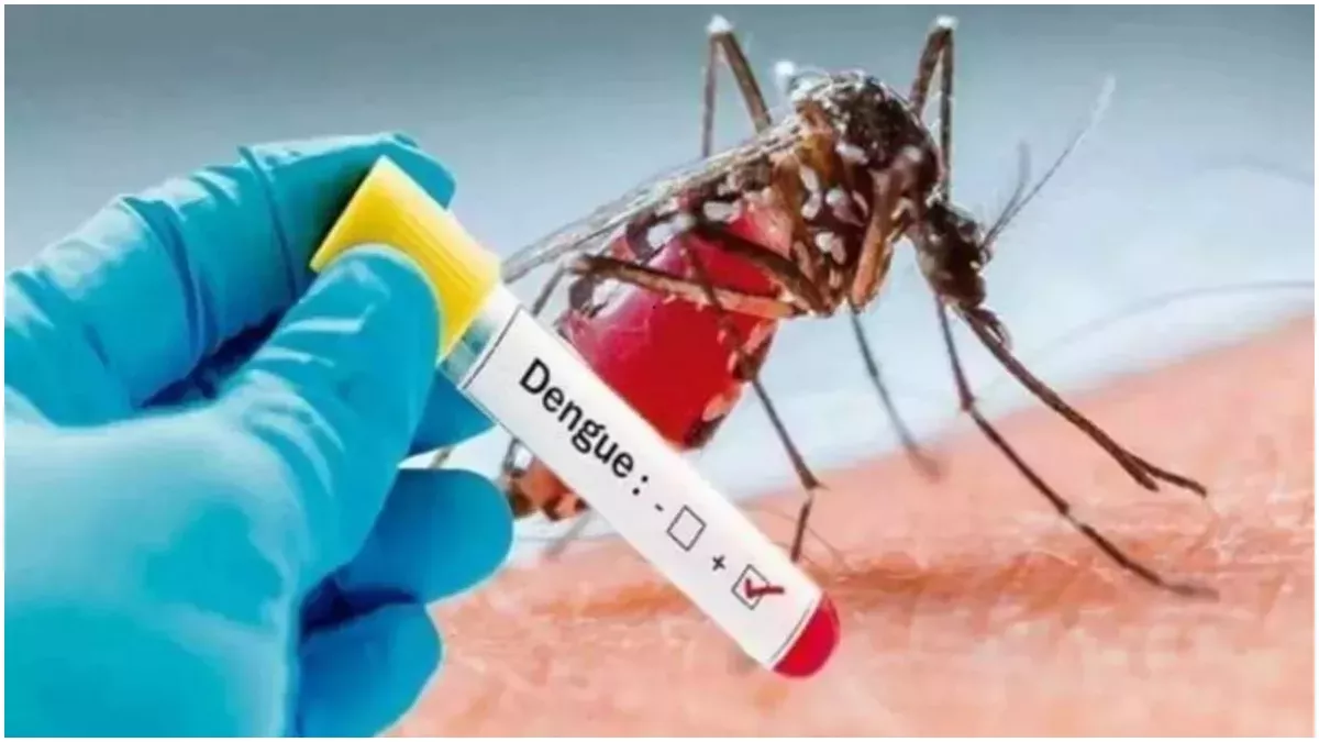 Bihar Dengue Case: बिहार में डेंगू का कहर, सात दिनों में मिले 2 हजार से  ज्यादा मरीज; पटना में हालात नाजुक - Bihar Dengue Case more than two  thousand patients found in