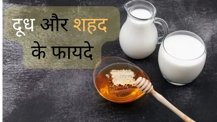 दूध और शहद पीने के 7 फायदे