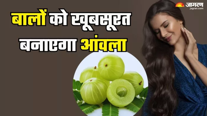 5 तरीकों से करें आंवले का इस्तेमाल (Picture Credit- Freepik)