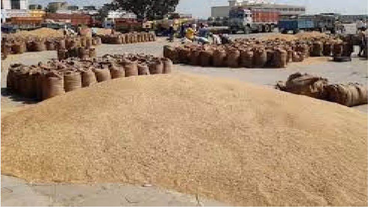 farmers can now apply online to sell food grains and paddy