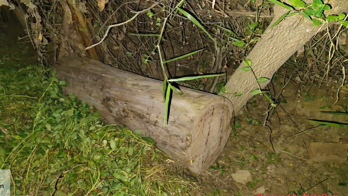 attack on forest department team in maharajganj officials injured