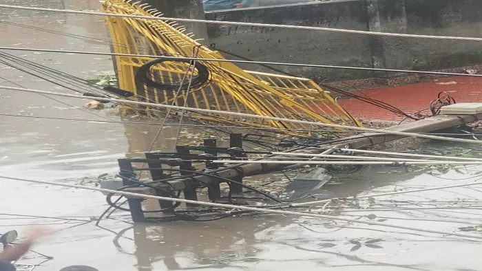आफत बनकर बरसे बदरा, गिरे पेड़ और बिजली के खंभे