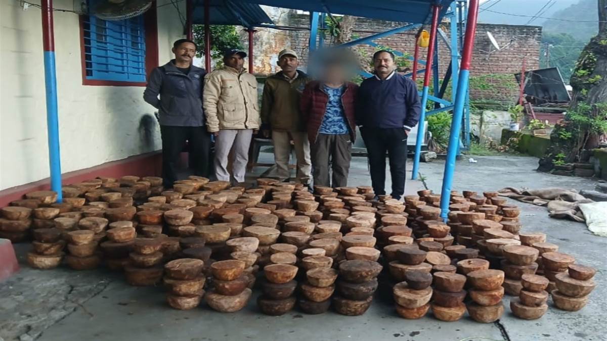 uttarkashi news two arrested with illegal kajal wood connection to buddhism