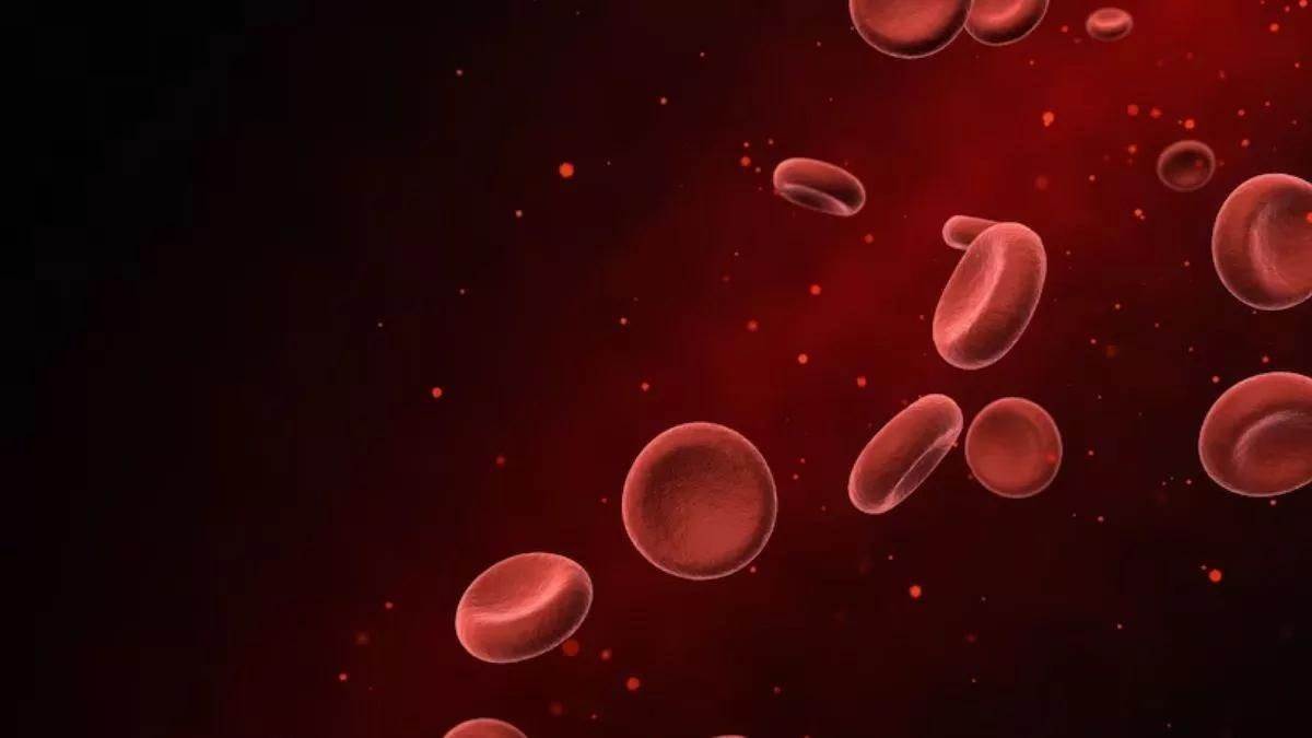 anemia in pregnant women high prevalence in ara