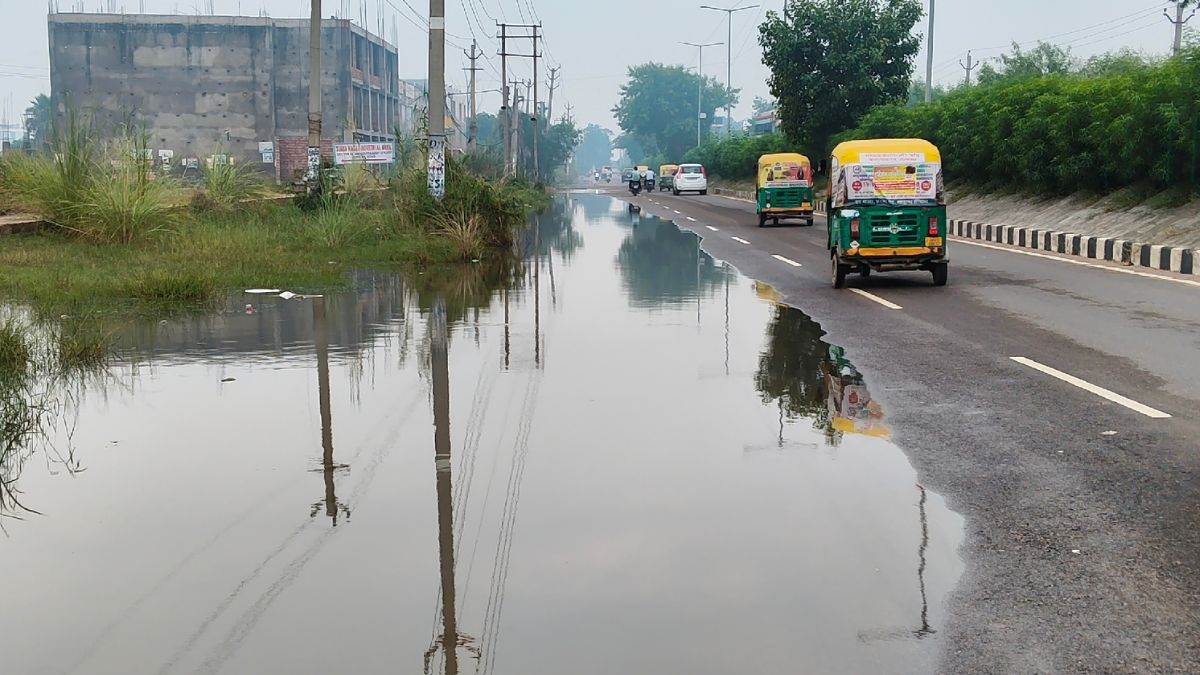 ncr bahadurgarh drain project delayed poles and trees hinder delhi rohtak road