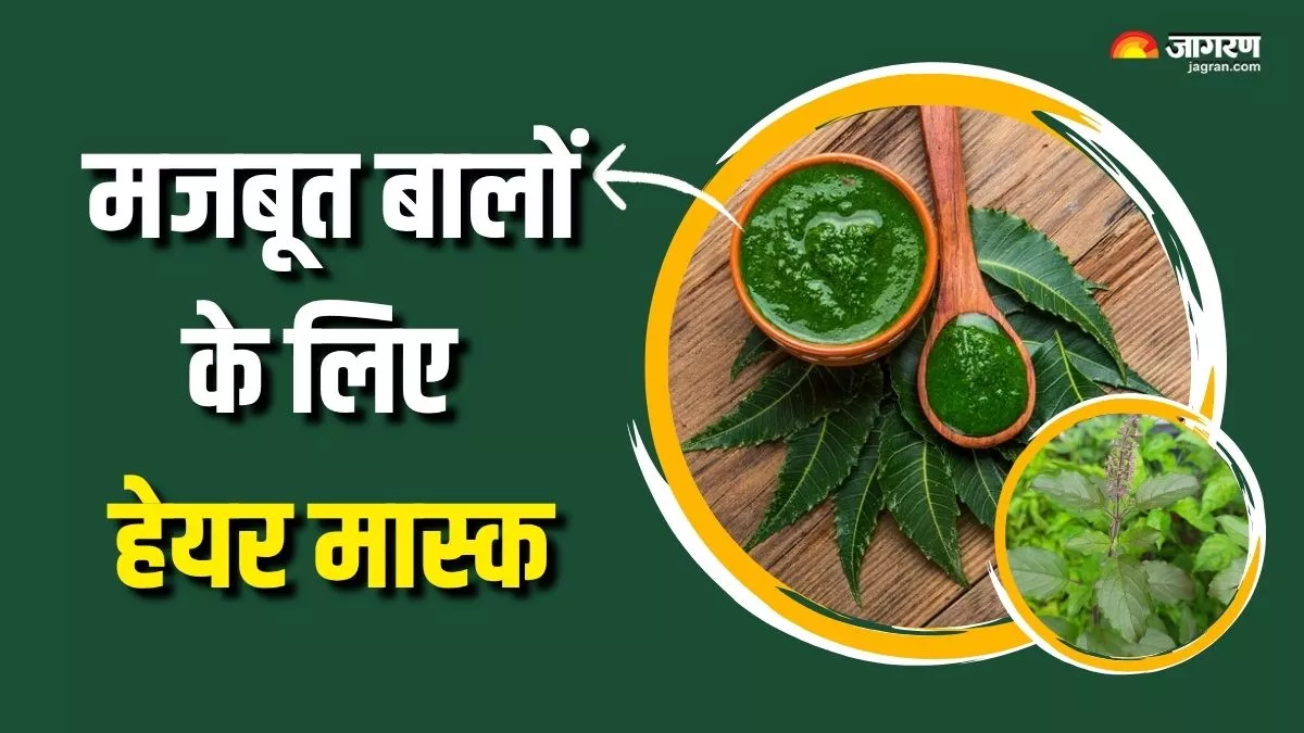 घने और मजबूत बालों के लिए आजमाएं नीम और तुलसी से बना हेयर मास्क, टूटना-झड़ना हो जाएगा कम