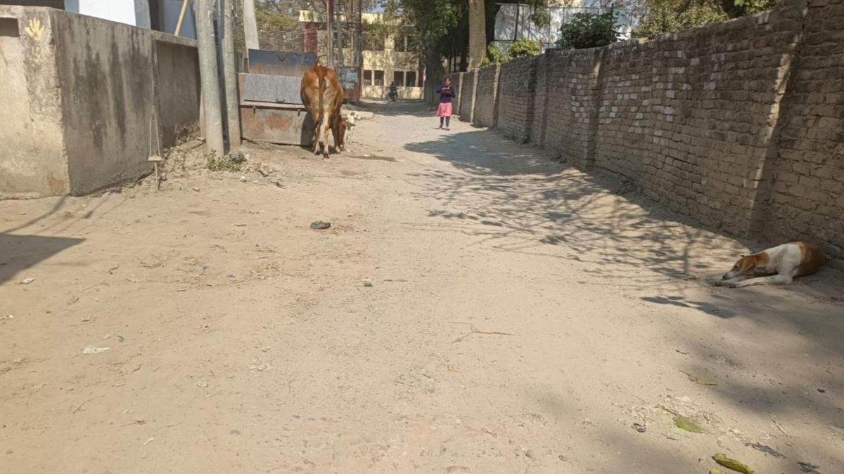 dilapidated roads to get a new look development work with rs 75 lakh
