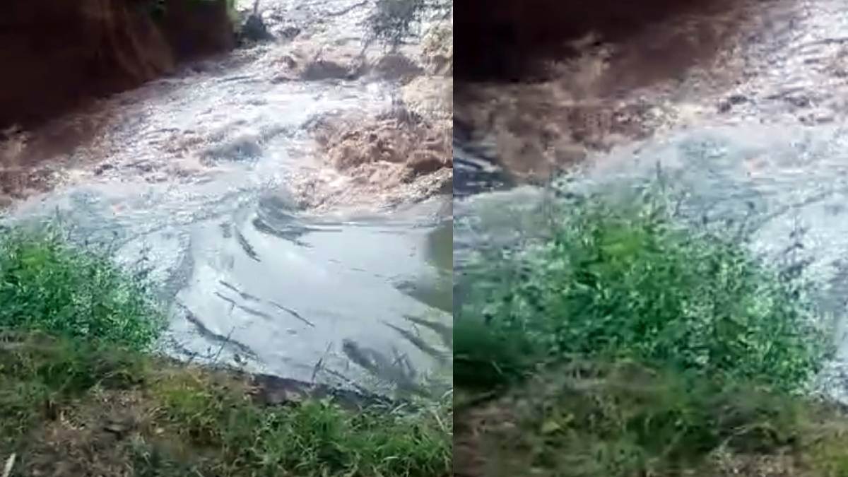 baruwali canal breach causes flooding in chaupata area