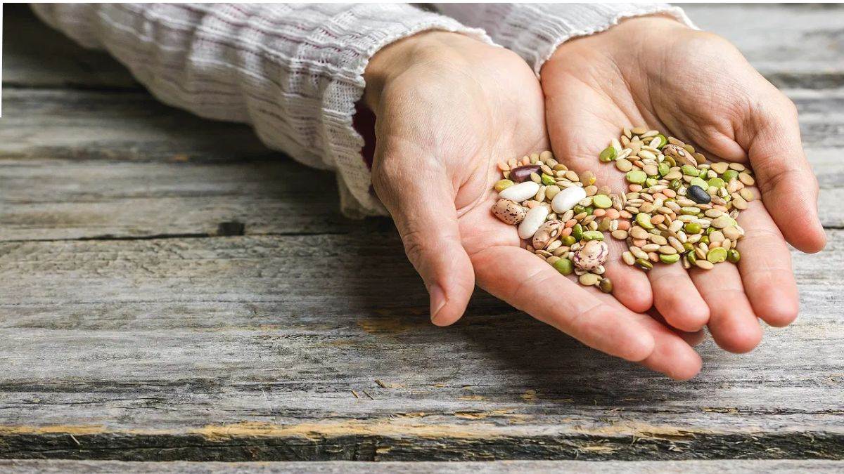 lucknow news farmers to prosper with advanced farming techniques