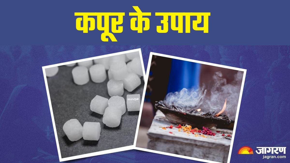 vastu tips in hindi to remove vastu dosh do this camphor remedies
