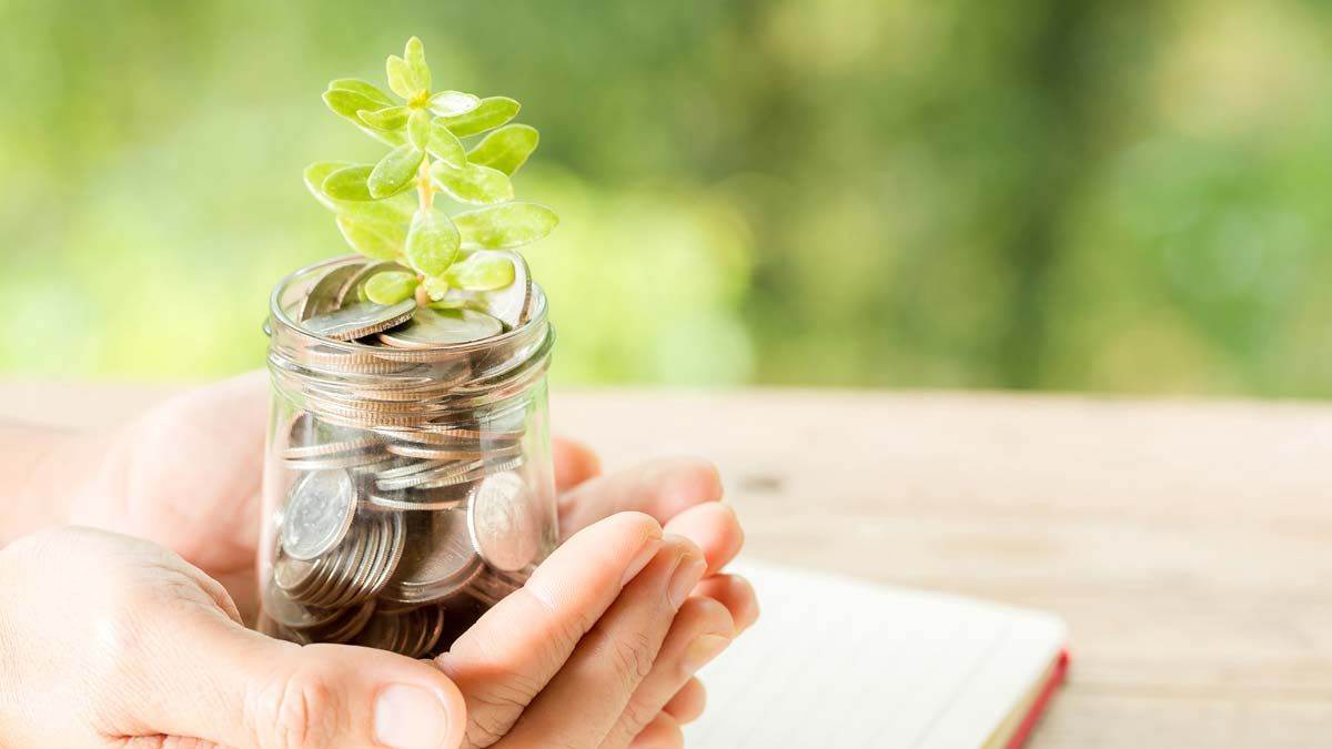 conglomerate businesses benefits growth and investment opportunities