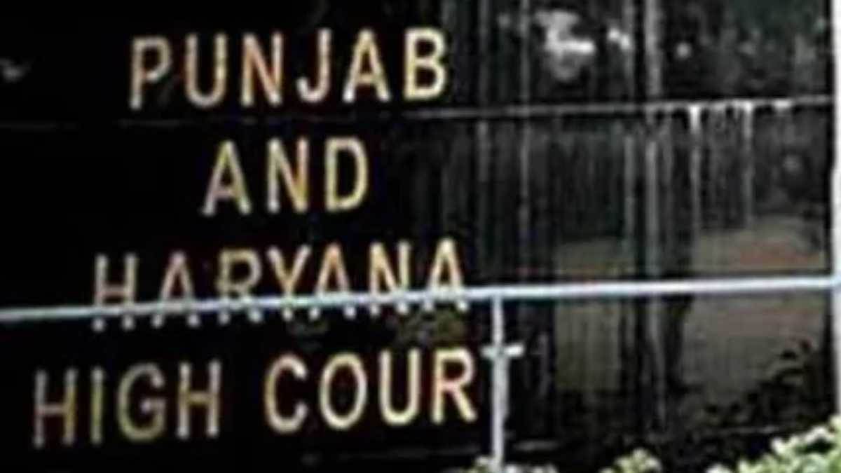 punjab haryana hc takes a tough stand on illegal educational institutions says these institutes taking advantage of the youth