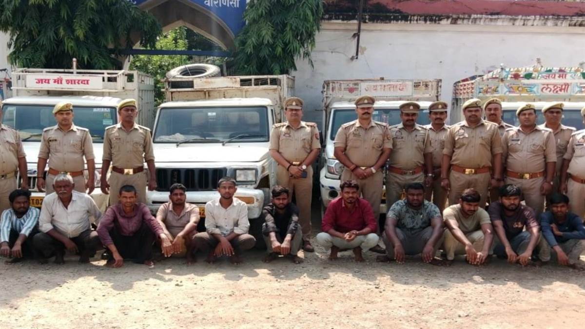 varanasi news cattle smuggling gang busted 35 cows rescued