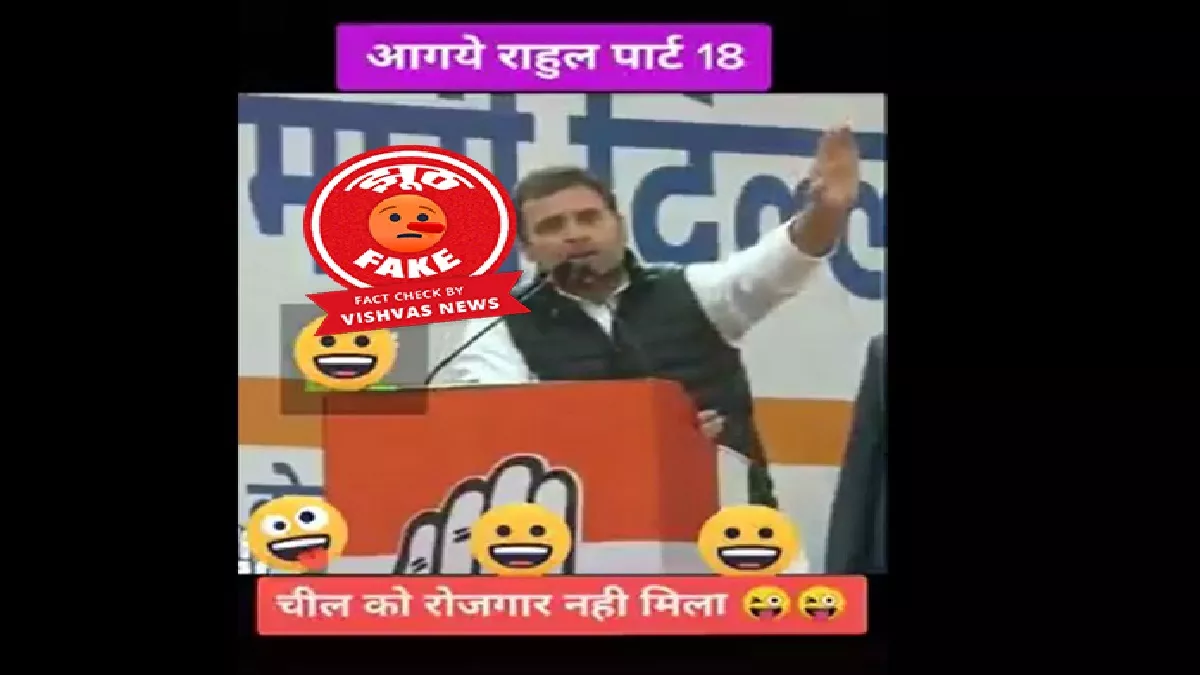 Fact Check Story: राहुल गांधी ने नहीं दिया चीलों के बेरोजगार होने का बयान
