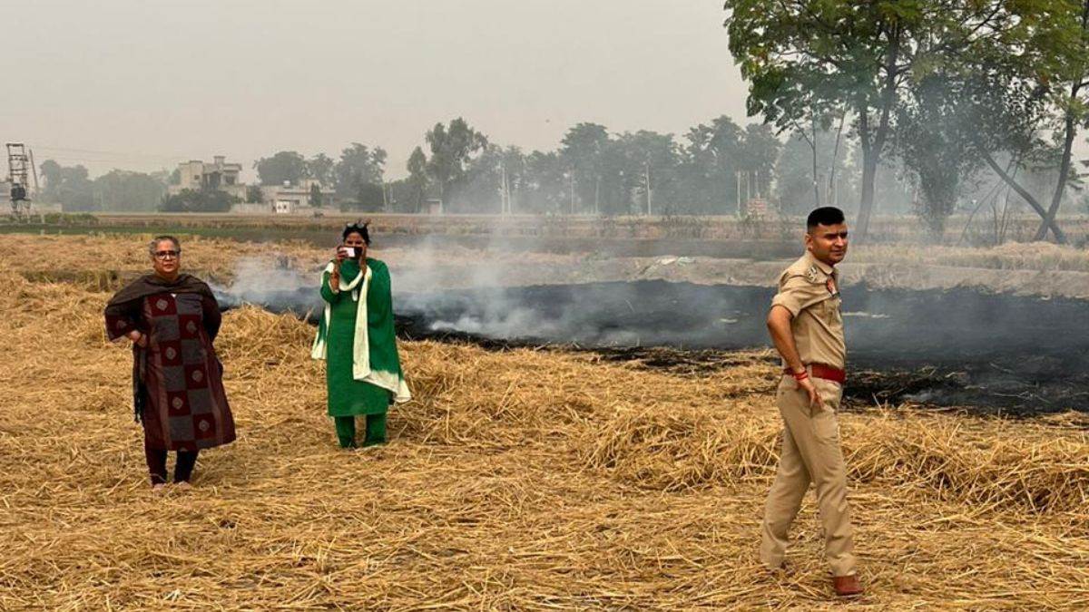 https://www.jagranimages.com/images/newimg/08112023/08_11_2023-barnala_stubble_burning_23576220.jpg