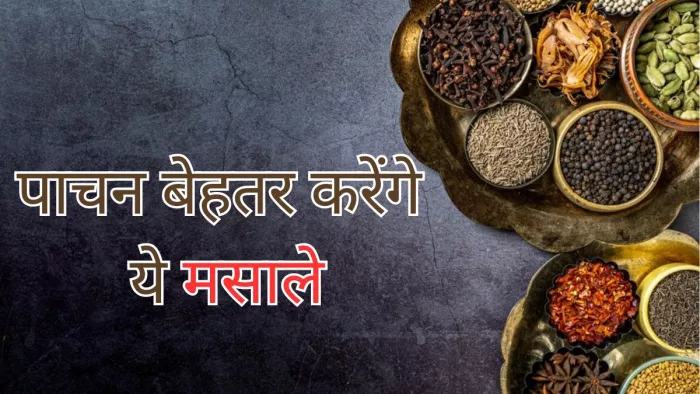 पाचन तंत्र बेहतर करेंगे ये 7 मसाले