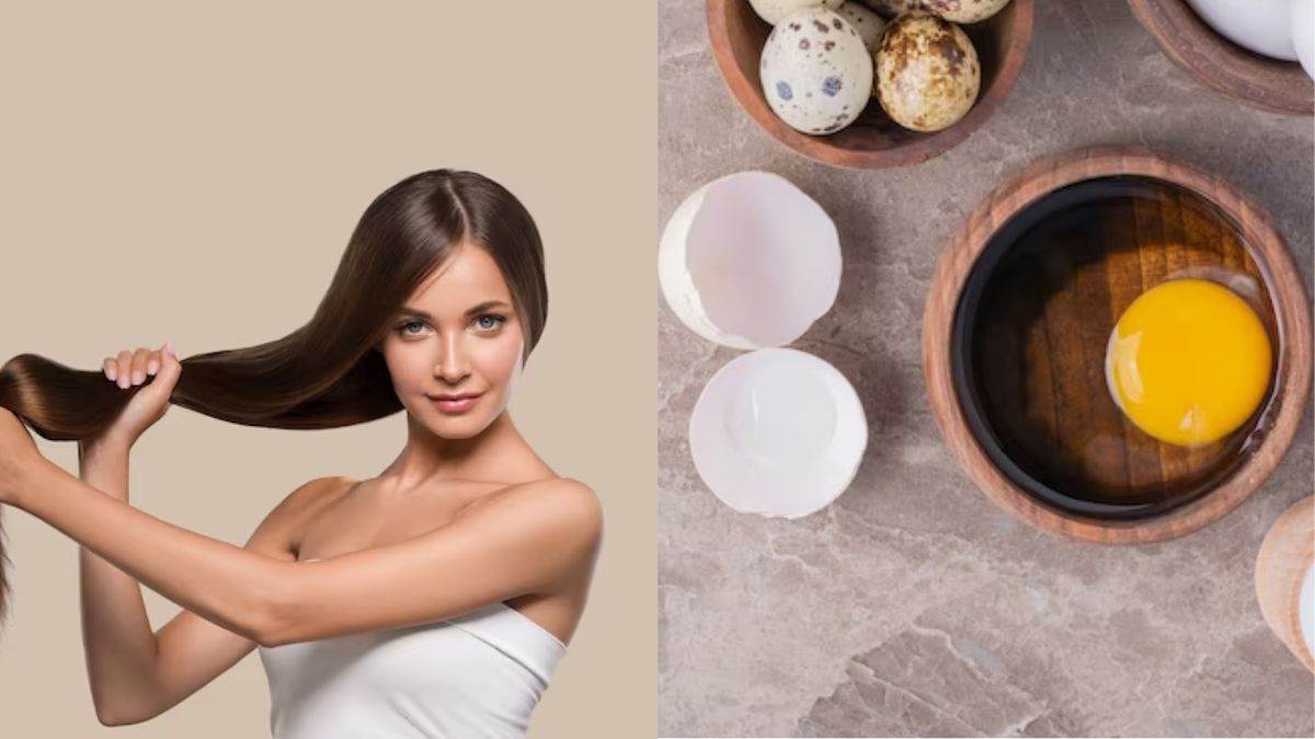 Egg Hair Mask बालों की मजबूती के लिए लगाएं अंडे से बने ये 4 तरह के