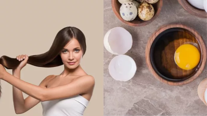 Egg Hair Mask: बालों पर लगाएं अंडे से बने ये हेयर मास्क