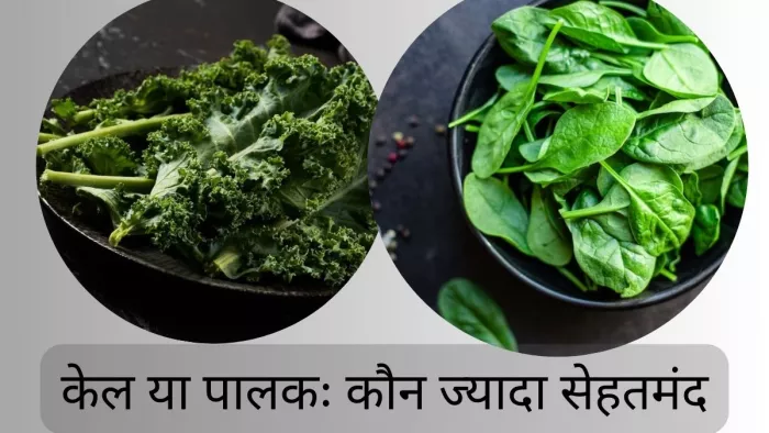 केल और पालक कौन है ज्यादा फायदेमंद