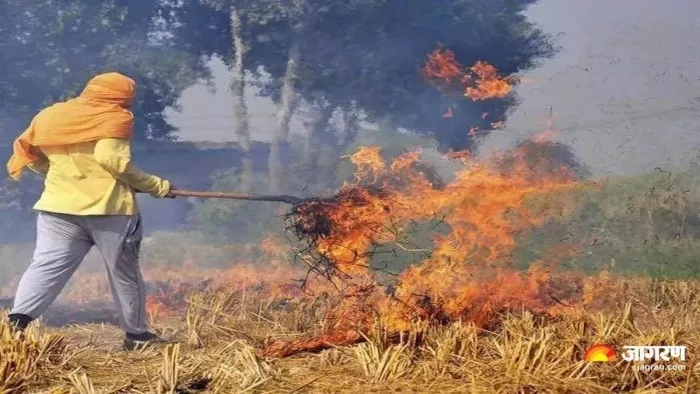 हरियाणा में पराली जलाने पर 72 FIR, 44 किसान गिरफ्तार।