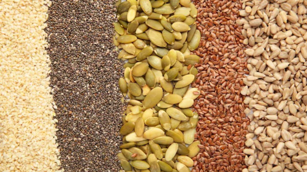 https://www.jagranimages.com/images/newimg/08112024/08_11_2024-seeds_for_winter_23827609.jpg