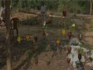 छत्तीसगढ़ में प्लास्टिक की बोतलों में लगाए जा रहे हैं पौधे