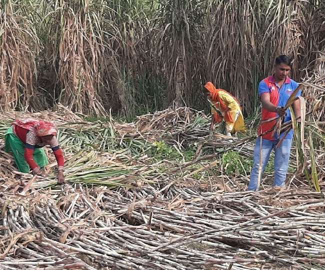 farmers were busy in fields not in agitation