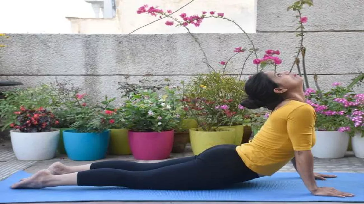 Benefits of Bhujangasana: पाना चाहते हैं कब्ज की समस्या से निजात, तो रोजाना करें भुजंगासन - If You Want To Get Rid Of The Problem Of Constipation Then Do Bhujangasana Daily