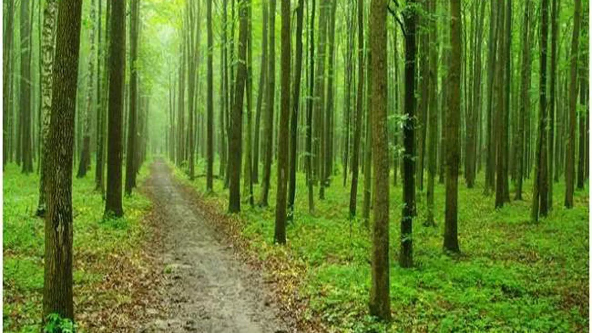 उत्‍तराखंड के जंगलों में धार्मिक स्थल बनते रहे और अफसर देखते रहे, वन मुख्यालय को सौंपी रिपोर्ट में हुआ खुलासा