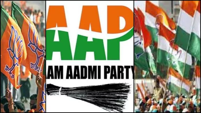 शकीला, गजेंद्र और मीना... इनके आगे पस्त हो गए BJP-AAP और कांग्रेस के उम्मीदवार