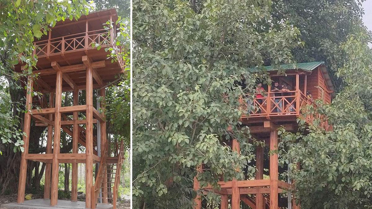 https://www.jagranimages.com/images/newimg/08122022/08_12_2022-tree-house-ramnagar_23249436.jpg