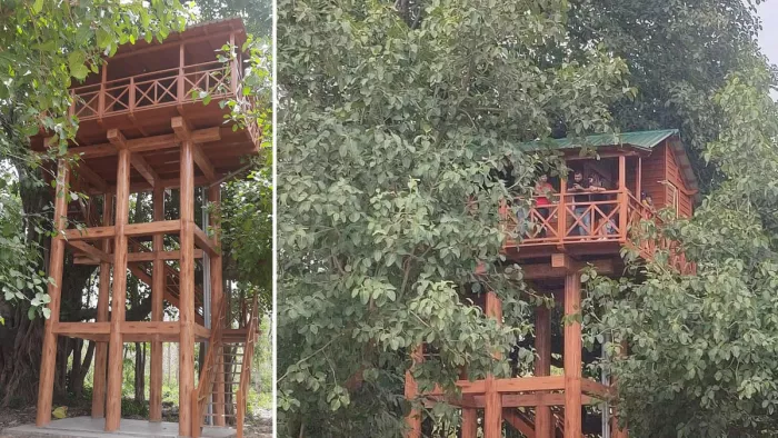 Tree House Uttarakhand : वन विश्राम गृह के आधार पर तय हुआ शुल्क