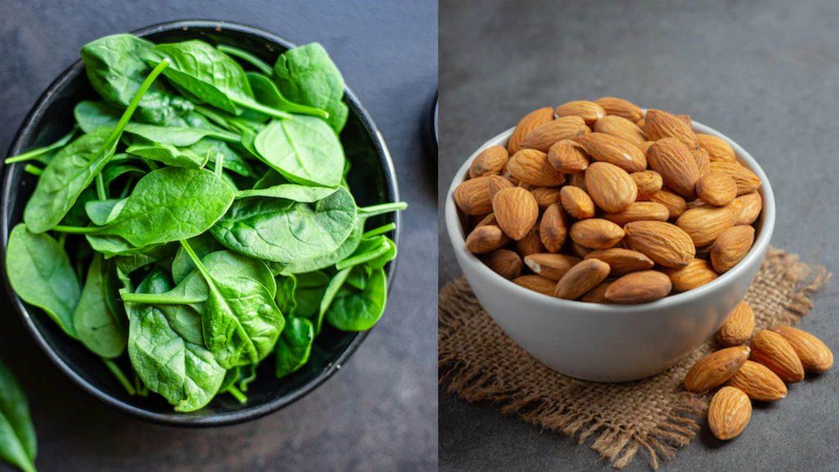 VitaminE Rich Foods विटामिनई की कमी को दूर करने के लिए इन 5 चीजों को