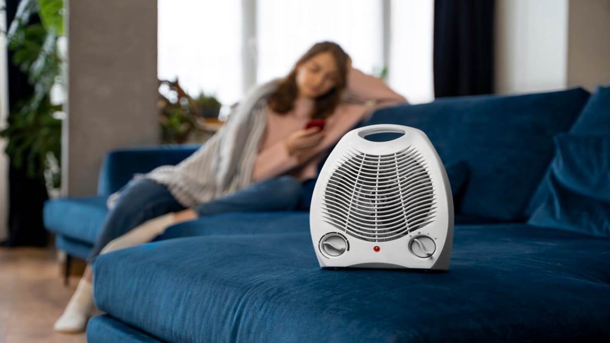 Best Room Heaters Brands In India: इन भारतीय ब्रांड पर भरोसा करता है भारत, Bajaj, ओरिएंट से लेकर Usha तक