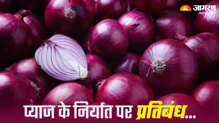 प्याज की उपलब्धता और कीमत को कंट्रोल करने के लिए सरकार ने लिया है ये फैसला।