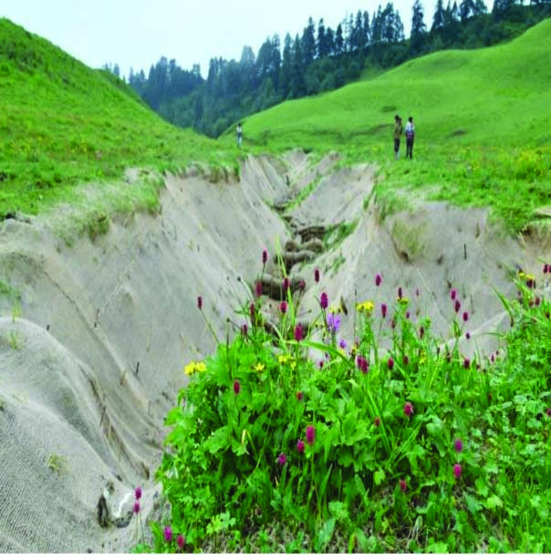 उत्तराखंड में सालभर के भीतर बनेगी बुग्यालों की एटलस, इन की सेहत की भी ...