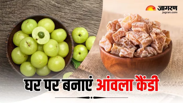 Amla Candy Recipe: इस आसान रेसिपी से घर पर बनाएं आंवला कैंडी (Image Source: Freepik)