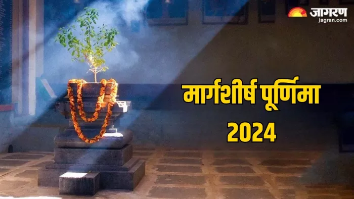 Margashirsha Purnima 2024: मां तुलसी को ऐसे करें प्रसन्न