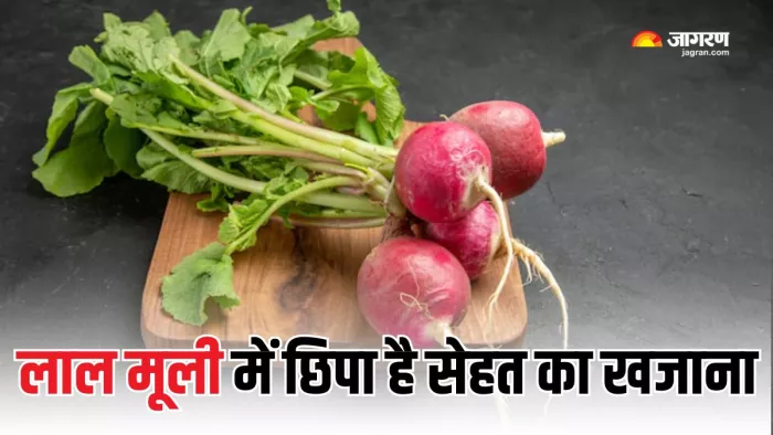 सिर्फ सफेद ही नहीं, लाल मूली को भी बनाएं डाइट का हिस्सा (Picture Courtesy: Freepik)