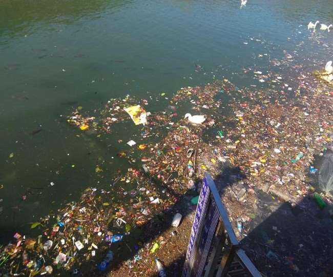 Image result for polluted nainital lake