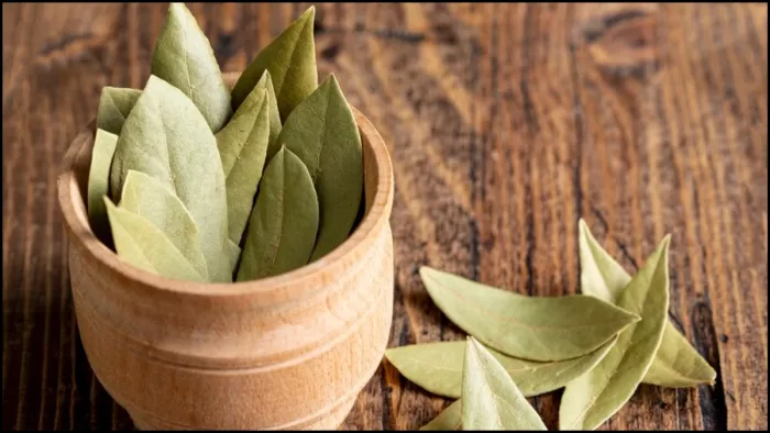 Bay Leaf Upay: तेजपत्ते के इस उपाय को करने से पूर्ण होगी हर मनोकामना -  follow these Bay Leaf Upaye to become rich and happy