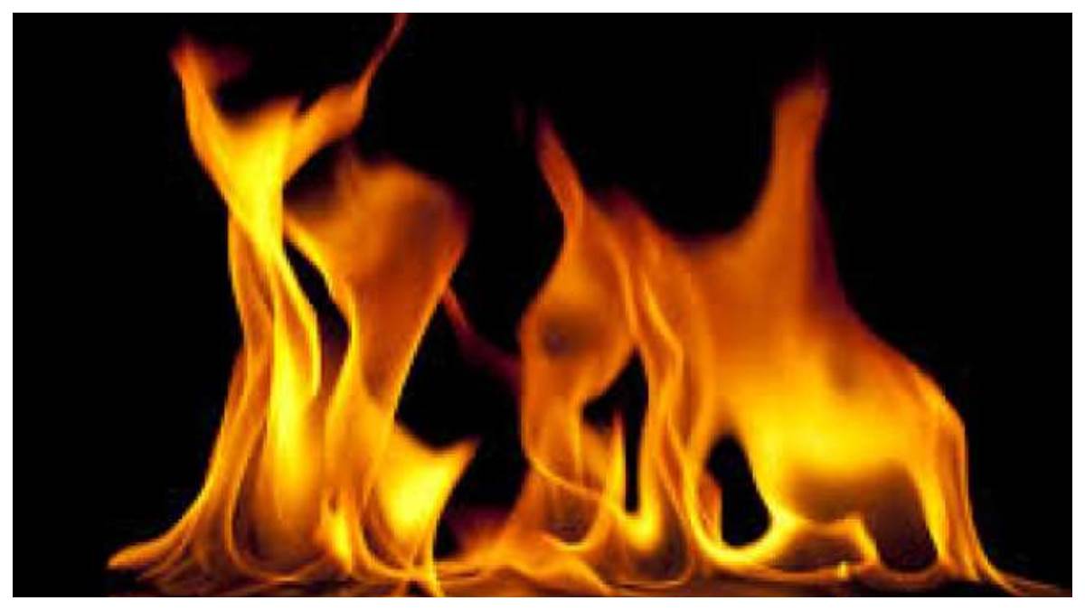 fire broke out in paper roll factory in navi mumbai woman died due to scorching in the accident