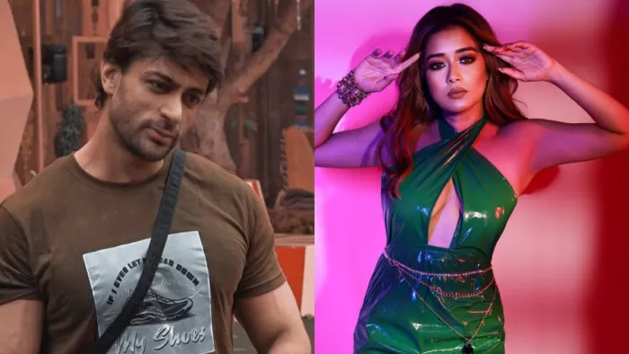 Bigg Boss 16 Shalin Bhanot Aggressive Behavior Reminds Tina Datta of Her Abusive Relationship