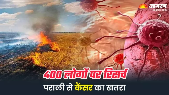 Stubble Burning Effects: पराली के धुएं से हांफ रहे फेफड़े, कैंसर का खतरा सबसे अधिक