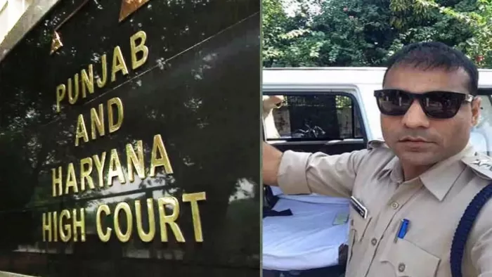 पूर्व क्रिकेटर जोगिंदर शर्मा की याचिका पर HC ने सरकार को जारी किया नोटिस (फाइल फोटो)।